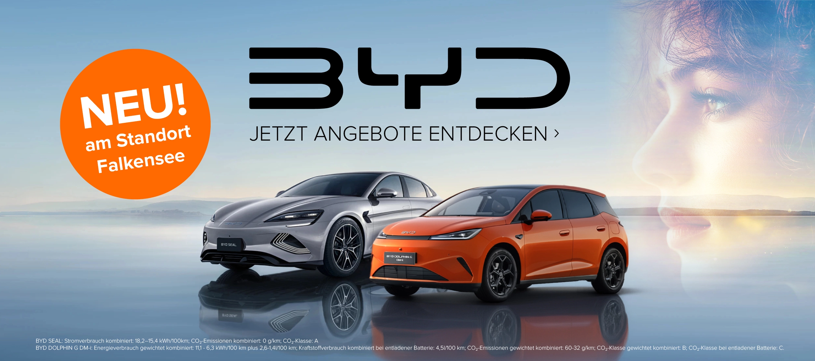 BYD Übersicht